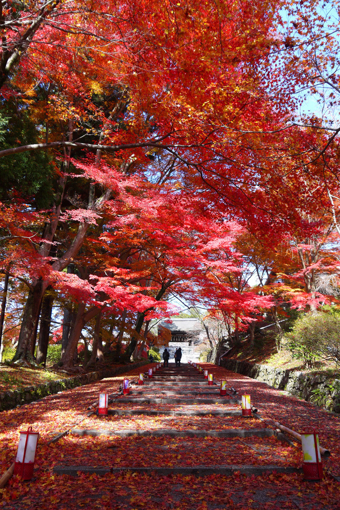 毘沙門堂 紅葉 15年見ごろは 京都屈指の紅葉の名所はココ 英学の おもしろい京都案内