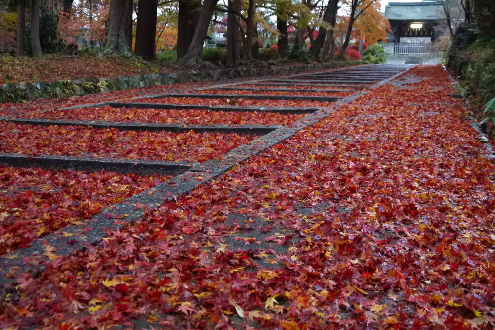 毘沙門堂 紅葉 15年見ごろは 京都屈指の紅葉の名所はココ 英学の おもしろい京都案内