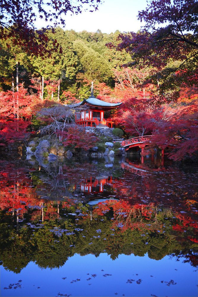 醍醐寺 紅葉 15年見ごろは ライトアップはいつから 英学の おもしろい京都案内