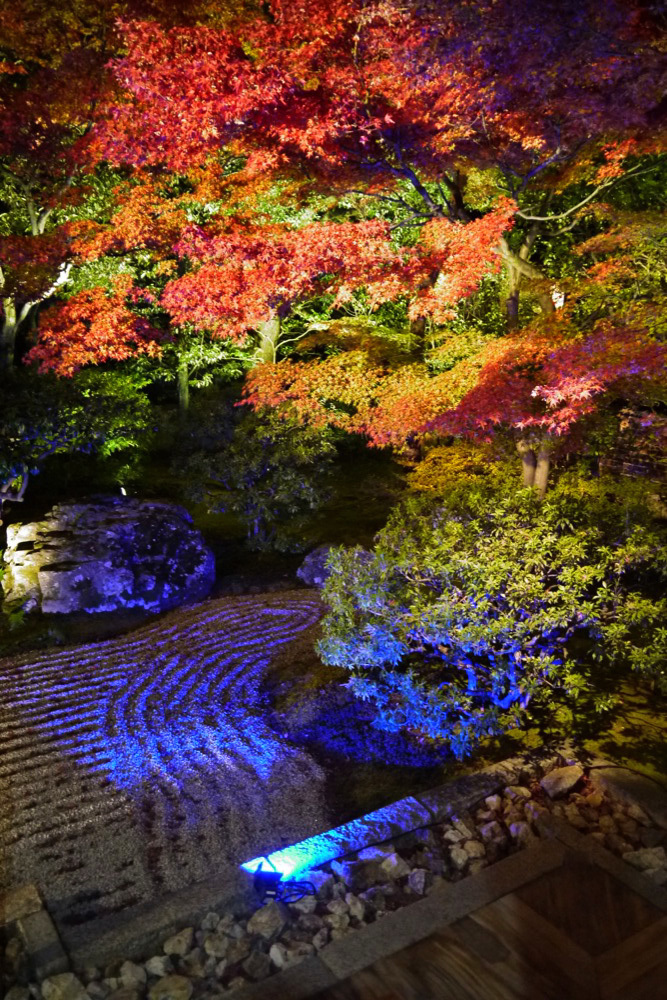 圓徳院 ねねが住んだ京都の紅葉名所 見頃は ライトアップはいつ 英学の おもしろい京都案内