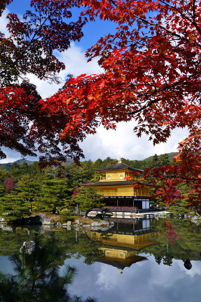 金閣寺 紅葉 15年 見頃は お得な紅葉狩り情報はココ 英学の おもしろい京都案内