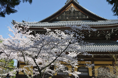 nanzenji12.jpg