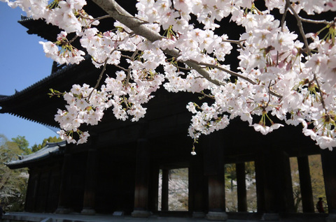 nanzenji13.jpg