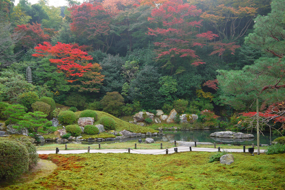 青蓮院 紅葉 15年見ごろは ライトアップはいつから 英学の おもしろい京都案内